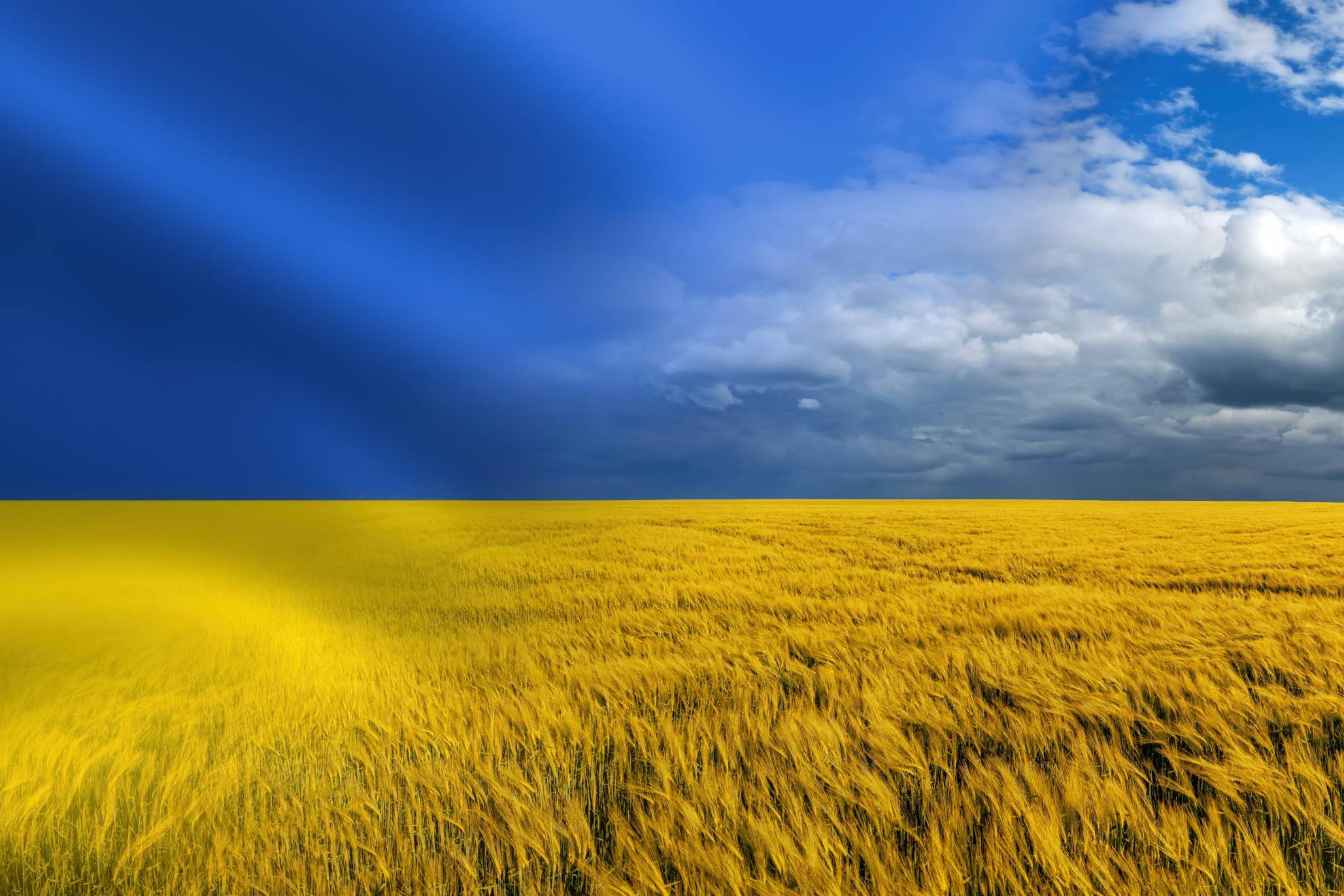 symbol,of,ukraine, ,ukrainian,national,blue,yellow,flag,with
