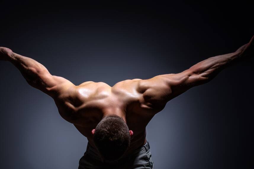 sexy,male,body.,muscular,model,with,abs.,muscular,body.,sexy