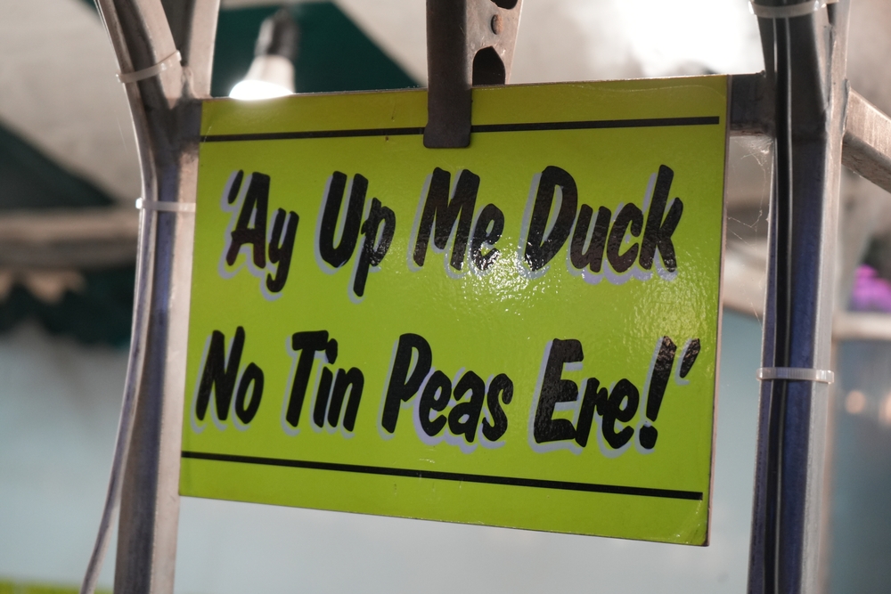 goose,fair,,nottingham,,england,,october,1,2025:,bright,green