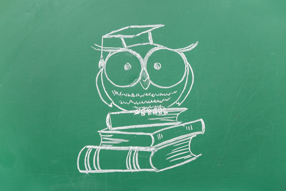 drawn,owl,with,books,on,green,chalkboard