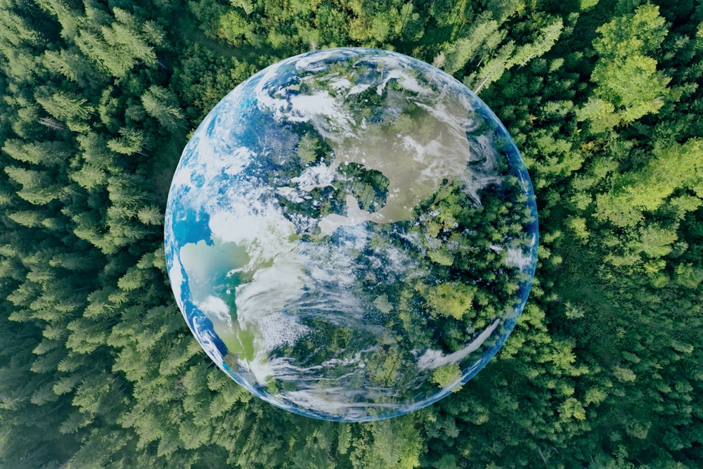 save,the,planet.,aerial,view,of,coniferous,forest,and,planet