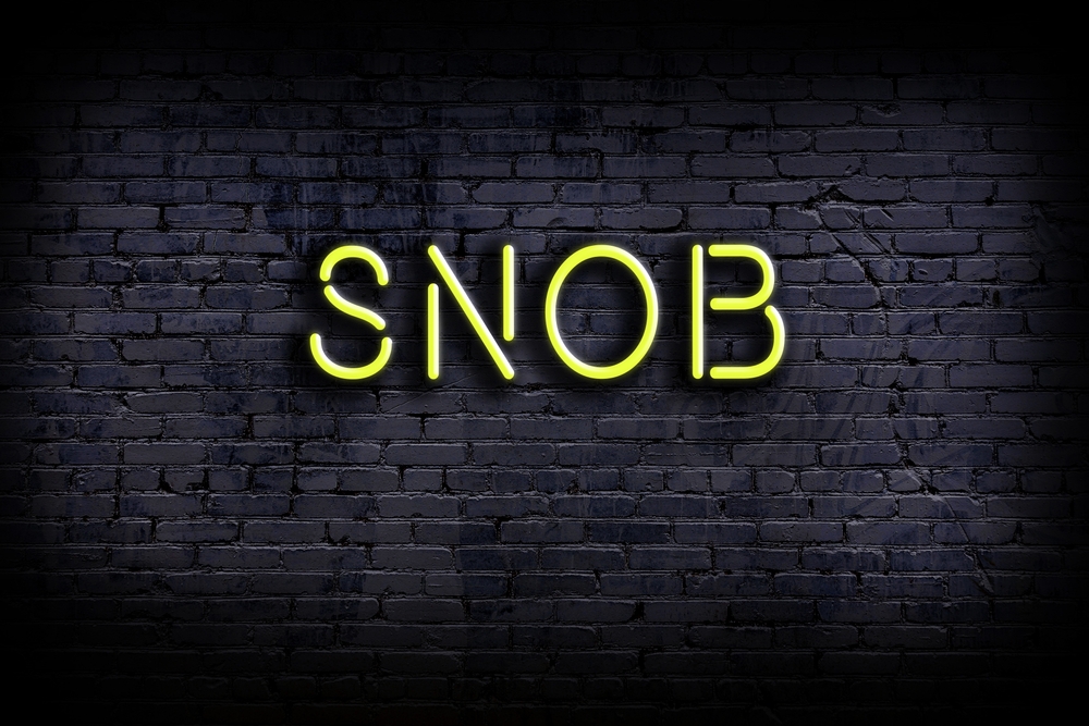neon,sign,with,inscription,snob,against,brick,wall.,night,view